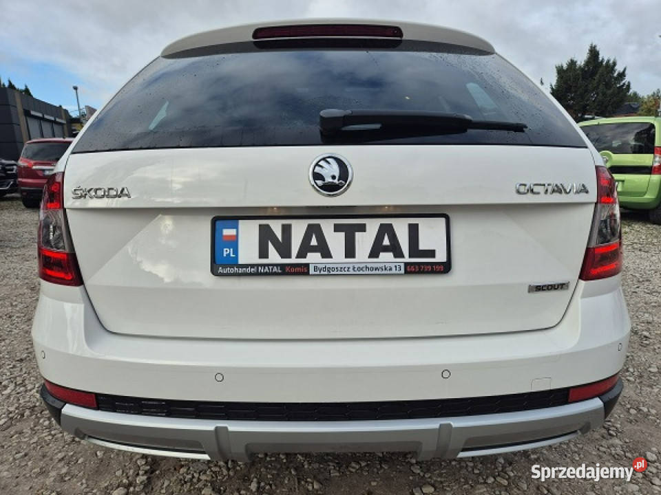koda Octavia 4x4 PanoramaAutomat Super stan III nawigacja Bydgoszcz
