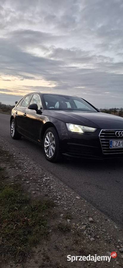 Audi a4 b9 20 tdi 150 Zamość