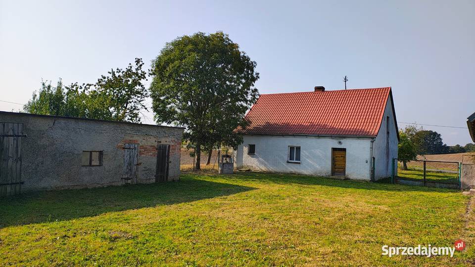 Sprzedam gospodarstwo dom budynki gospodarcze gospodarstwo Osieczek