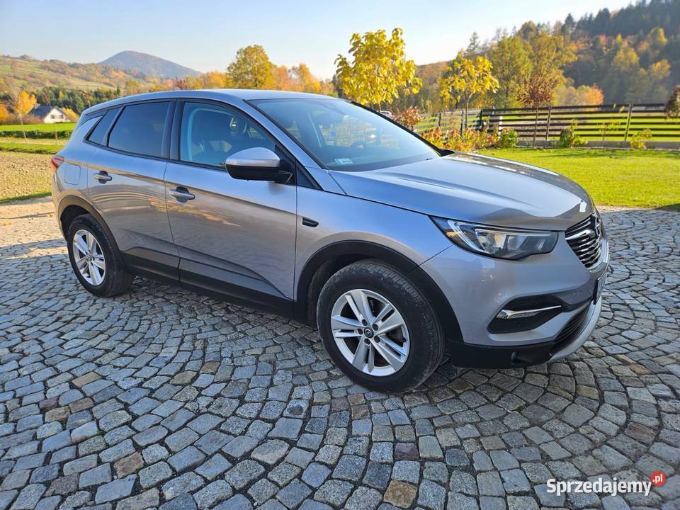 Opel Grandland X Super stan małopolskie Krynica-Zdrój