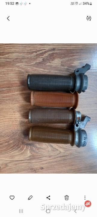 Raczki Manetki zak ryś