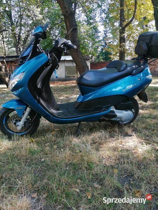 12550 Peugeot elystar 125 50 na Dowód