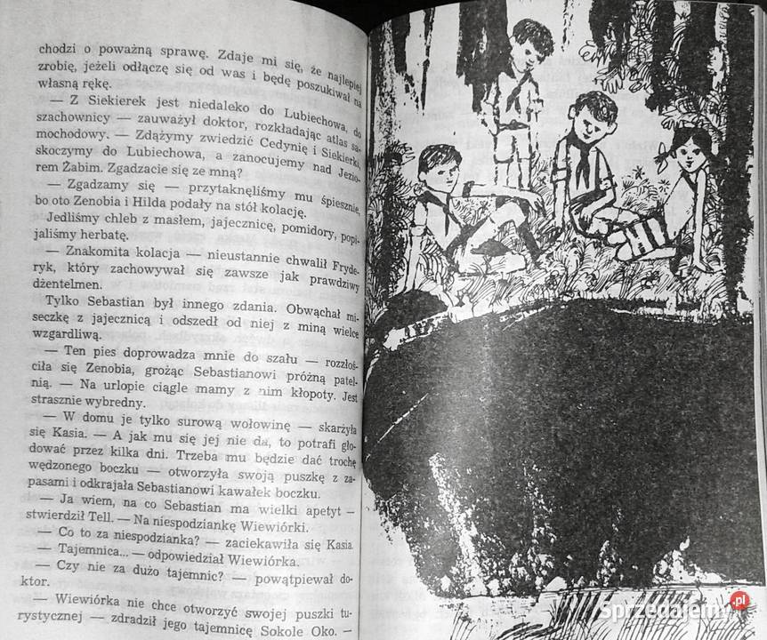Księga strachów Zbigniew Nienacki Rok wydania 1987 Kultura i Rozrywka lubelskie Chełm