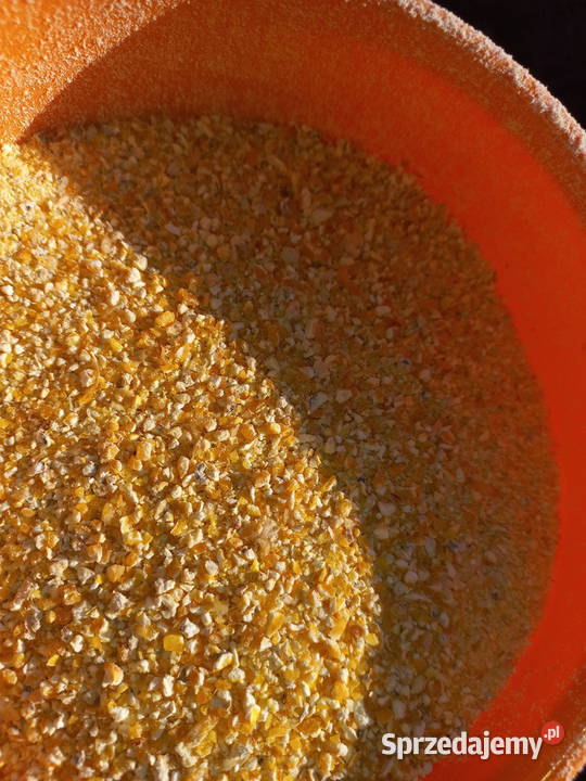 MłynekRozdrabniacz na 400hśrutownik do mielenia Lublin