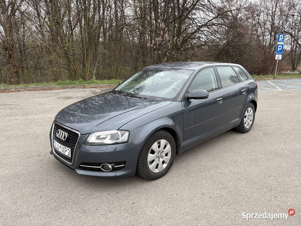 Audi A3 8P 2010 manualna