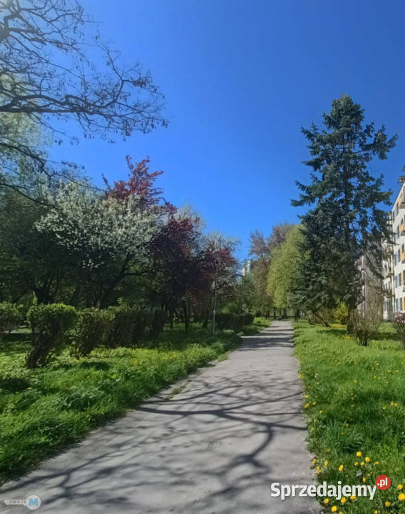Mieszkanie 465m2 2 pok Kielce Mieszkania