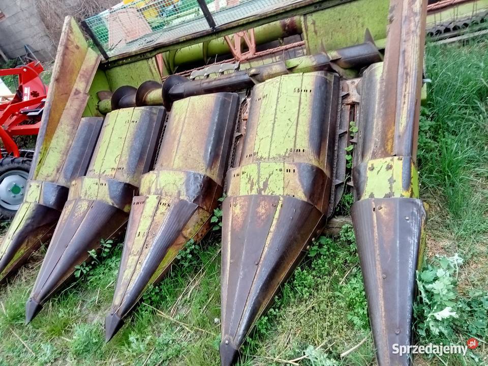 Sprzedam przystawka do kukurydzy claas bizon Rychwał
