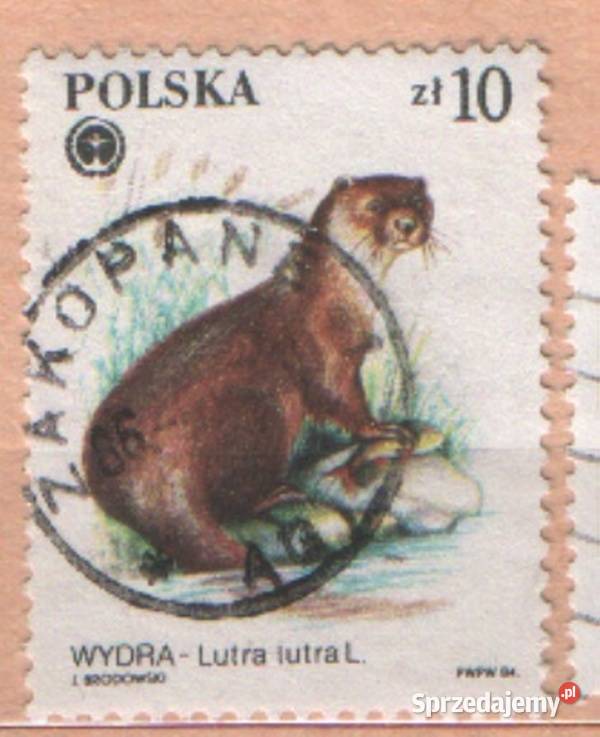 Zn Fi wykaz w opisie kas 1984 sprzedam