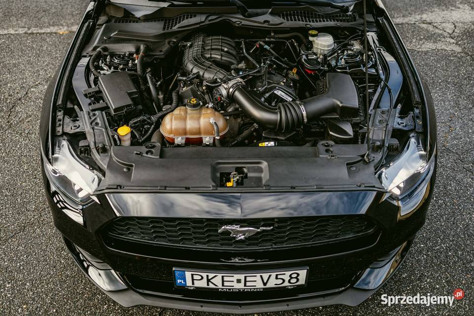 Ford Mustang 37l V6 gniazdo AUX Bralin
