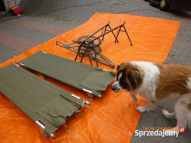 Nosze wojskowe Ostrołęka