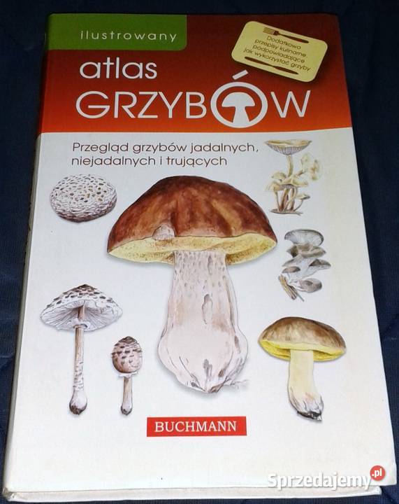 Ilustrowany atlas grzybów Emilia Grzędzicka Rok wydania 2011 Chełm sprzedam