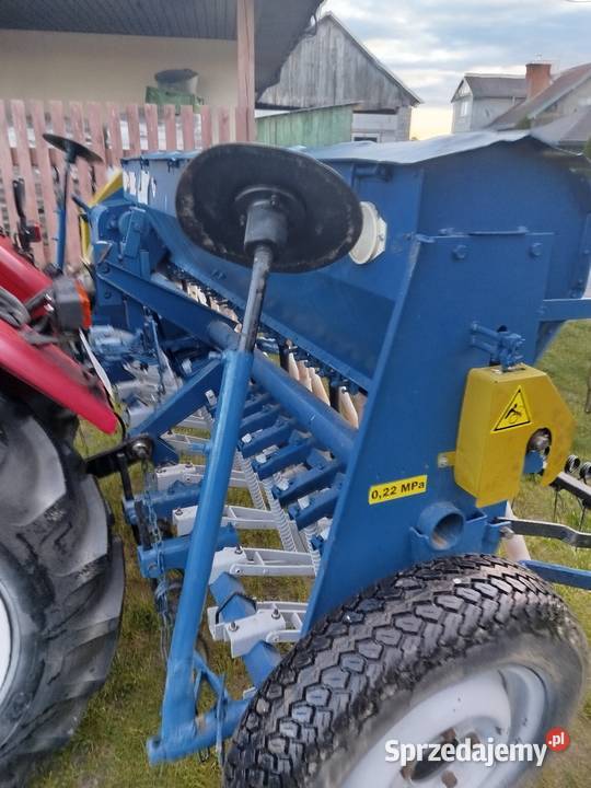 Sprzedam poznaniaka Michałówka