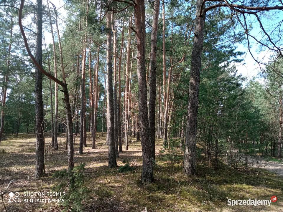 Gospodartwo rolne 877ha 87700m2 Jawor