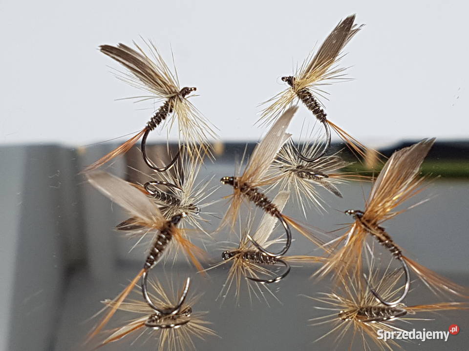 Sztuczne muchy suche jętki skrzydlate Leśna