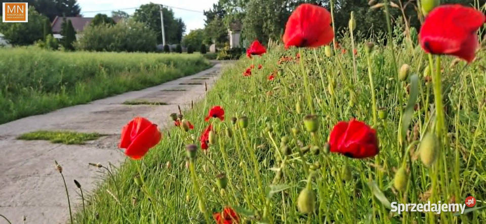 Grunt Marszowice 1000m2 małopolskie