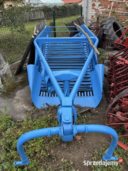 Kopaczka elewatorowa do ziemniaków Padew Narodowa