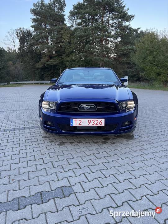 Ford Mustang 37 v6 305 koni PREMIUM automat Majków