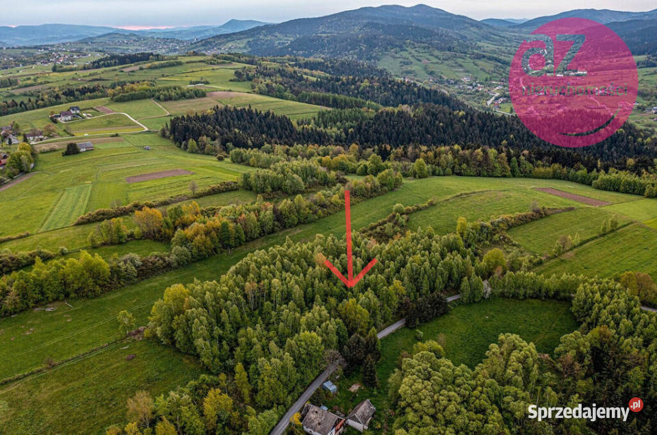 Działka rolna MszalinicaKamionka Wielka Sprzedaż Mszalnica sprzedam