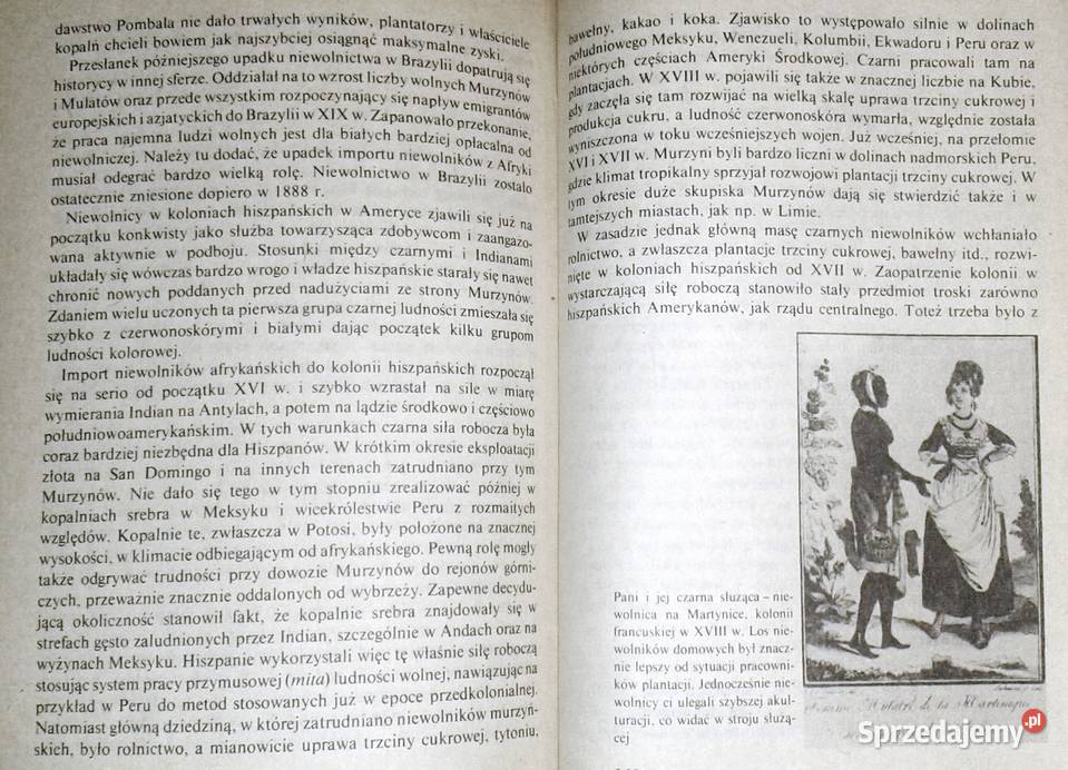 Niewolnictwo Iza BieżuńskaMałowist Marian Chełm