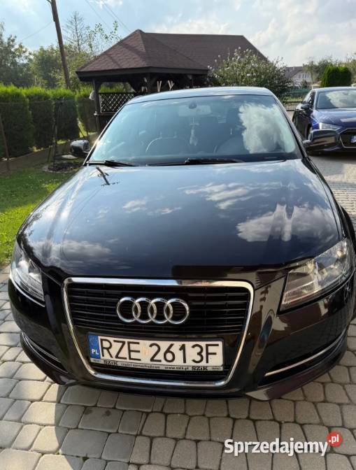 Audi A3 16 TDI 2012 A3 A3 podkarpackie Rzeszów