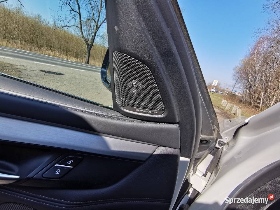 BMW X6 40d Odolanów