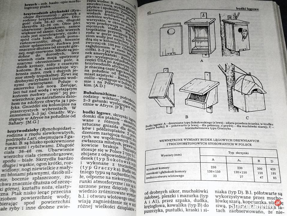Ptaki Mały słownik zoologiczny Tom 12 Przemysław Chełm