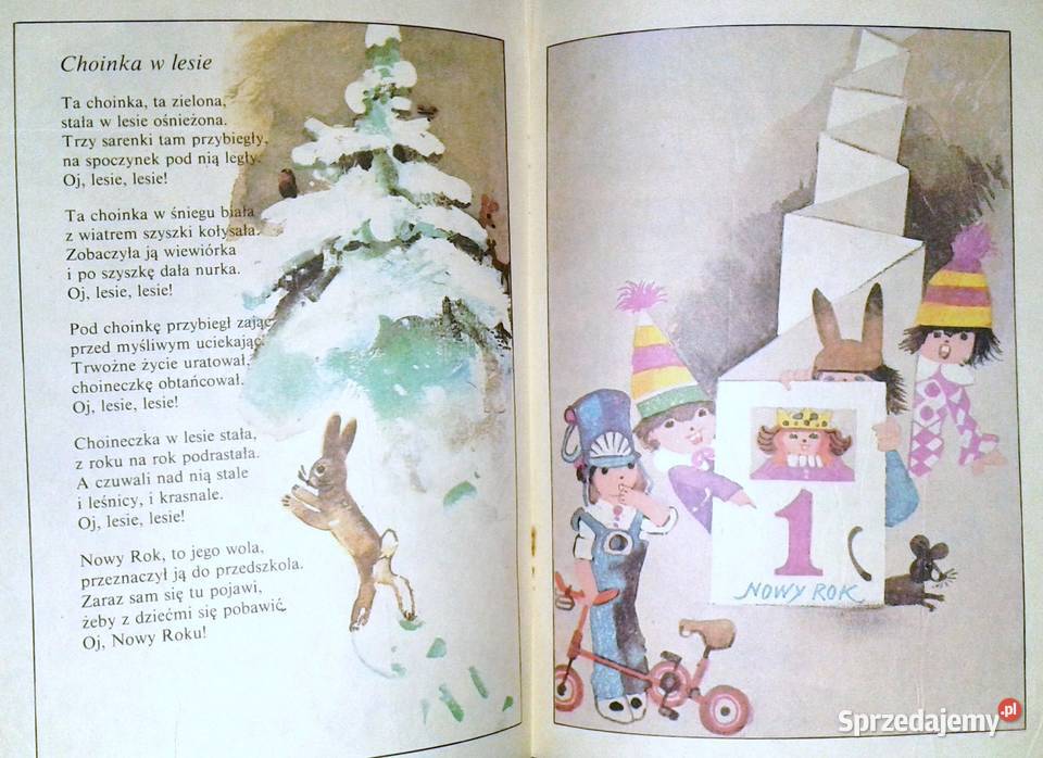 Srebrne gwiazdki Ewa SzelburgZarembina Chełm sprzedam