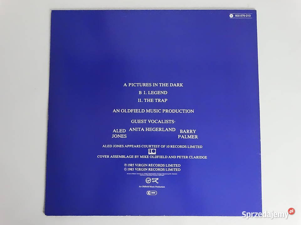 Mike Oldfield Pictures In The Dark 12 Vinyl Biłgoraj sprzedam