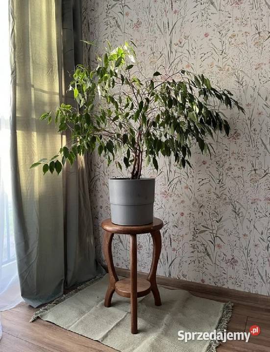 2pok 42met Aquaparku WINDAPEŁEN ROZKŁAD Wrocław własność dolnośląskie