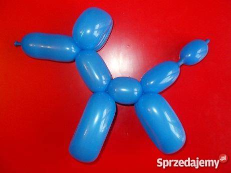 Balony do modelowania Jastrzębie-Zdrój sprzedam