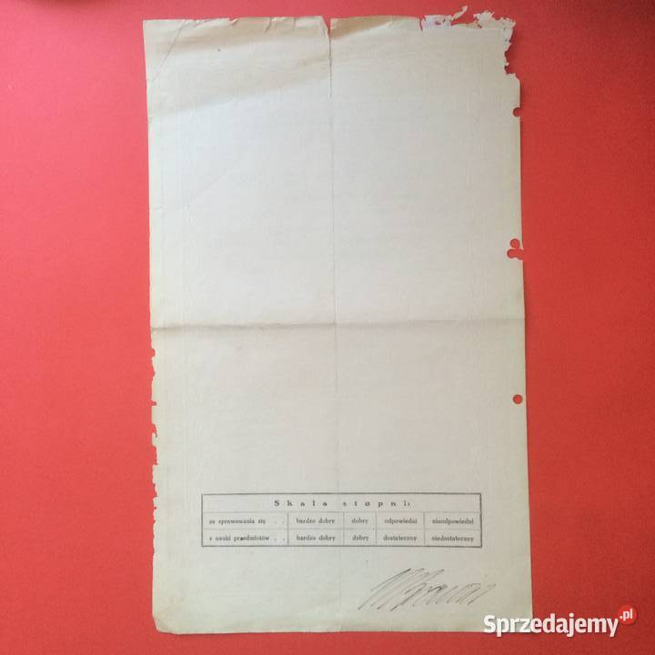 1801 Świadectwo Szkolne Odolanów 4 Krawiec Antykwariat Szczecin