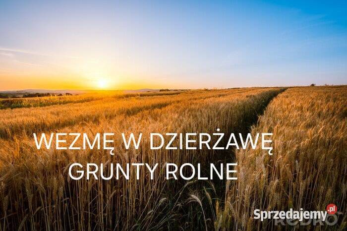 Grunty rolne sprzedam