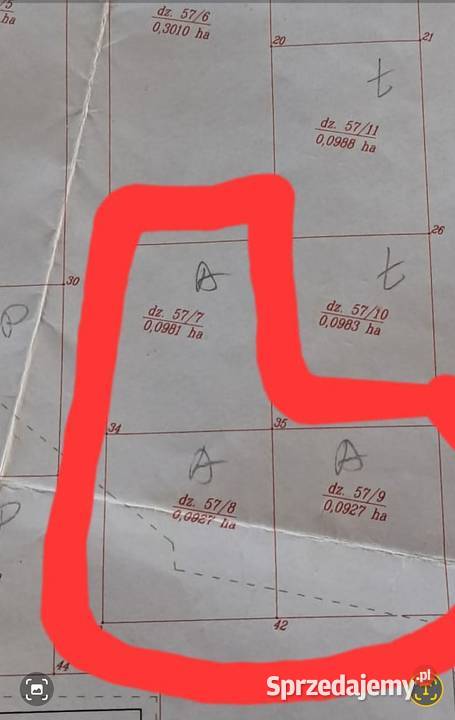 SPRZEDAM DZIAŁKI Biały Ług