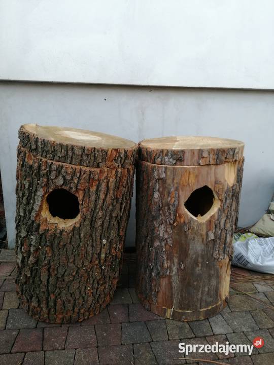 budki lęgowe z pnia Ptaki Limanowa