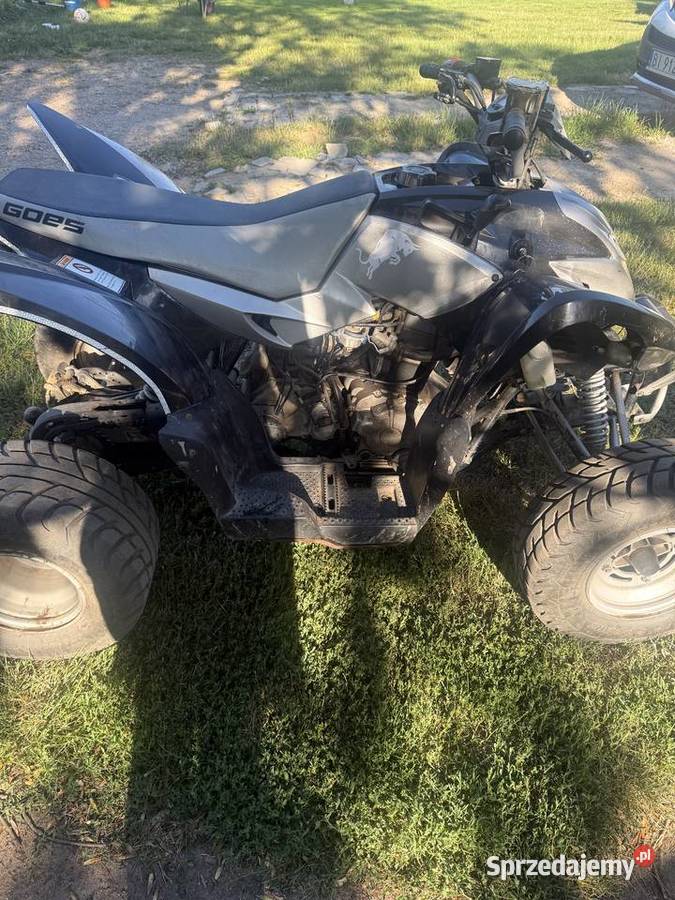 Quad goes 300 S Motoryzacja mazowieckie Żebry-Laskowiec
