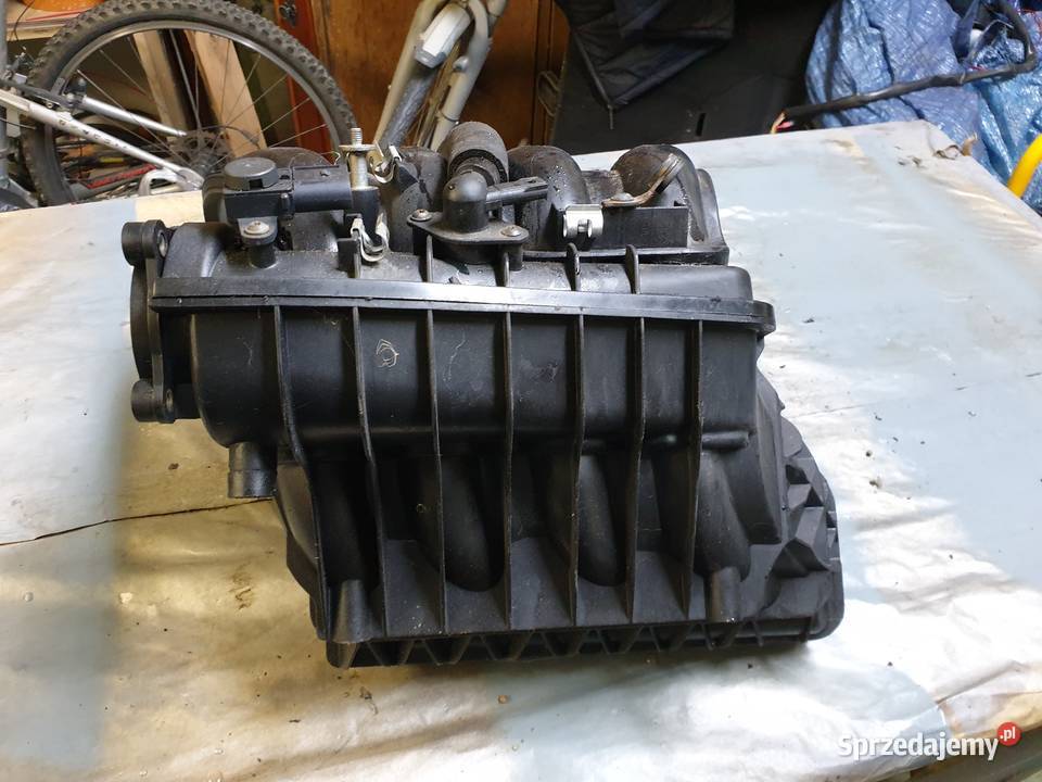 Kolektor ssacy N42 E46 Gorzyce