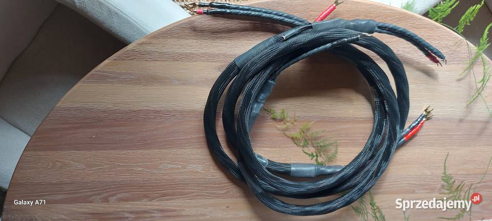 Synergistic Research Tesla Apex 2x25m Białystok