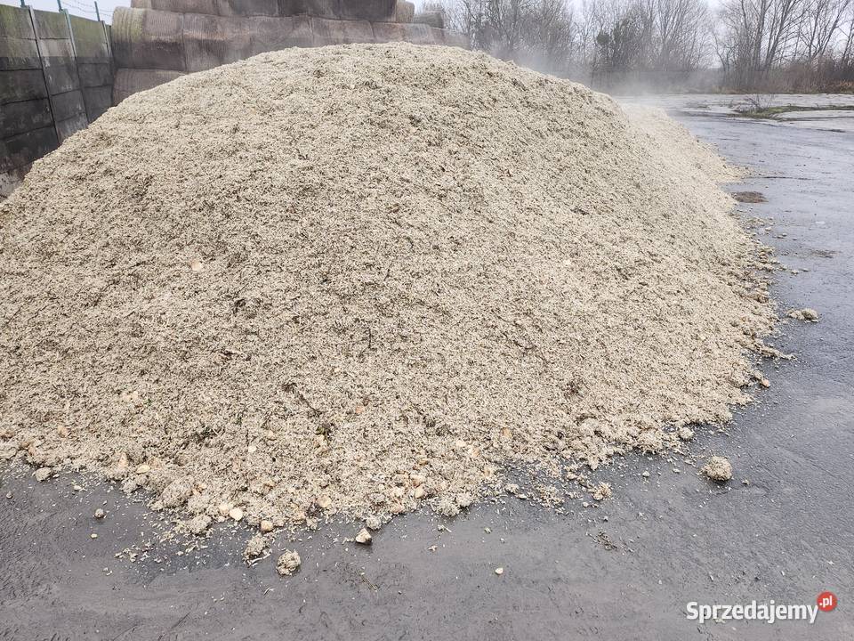 Wyslodki buraczane belowane Cieszyn sprzedam