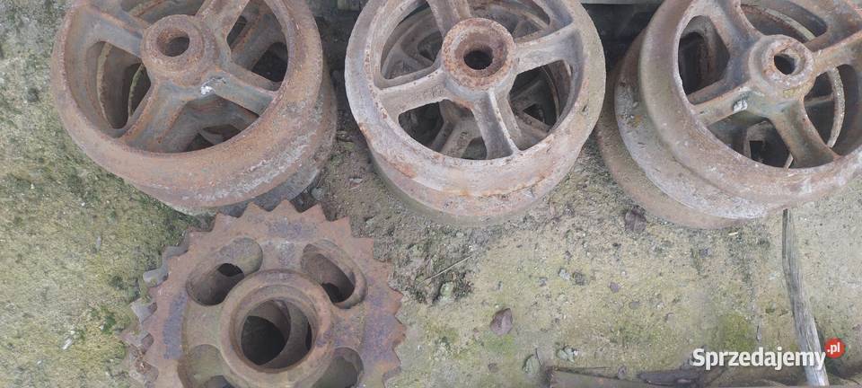 Wały Posiewne Cambridge Pierścienie do wałów Gołańcz