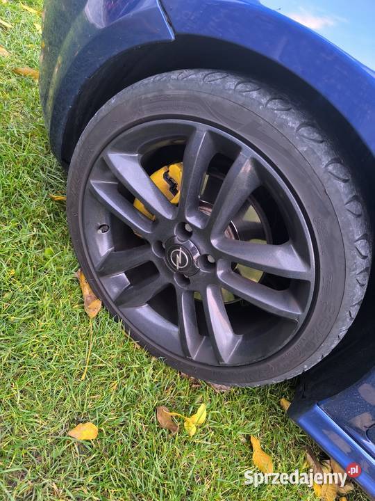 Fiat Grande Punto wersja sport 19 JTD 2006r bez Punto Radom