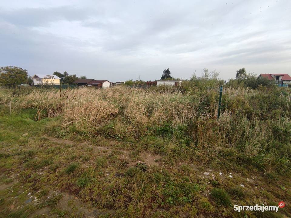 Sprzedam działke ROD Gryf 304m2 Szczecin