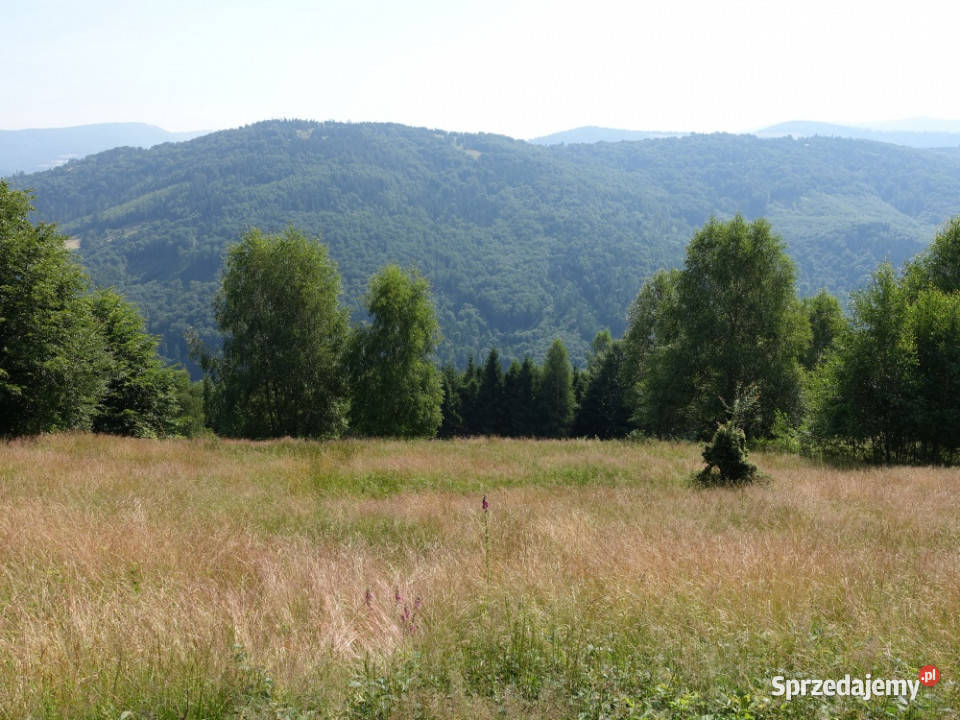 Brenna 253 ha działka inwestycyjna wyciągu śląskie