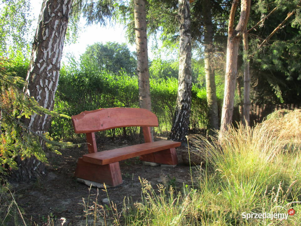 Uroczy dom z dużym ogrodem i 2 garażami Krosna