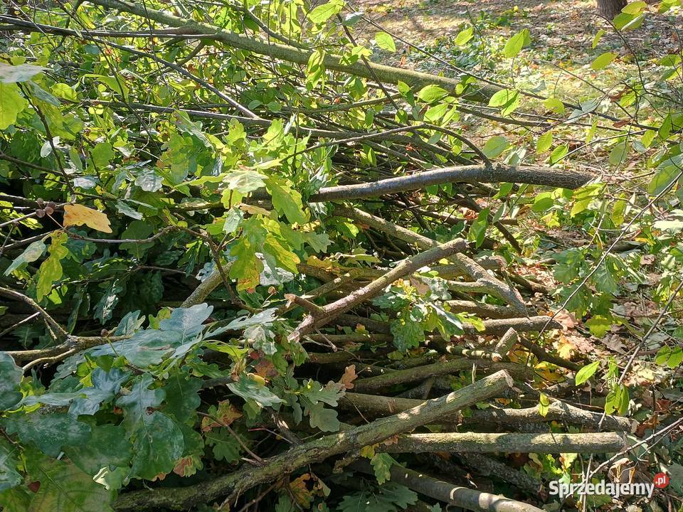 Rębak Negri R270 Pozostałe Celestynów