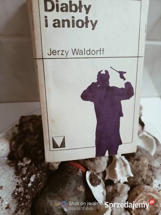 Diabły i anioły książki Waldorff wydawnictwo Książki i Podręczniki mazowieckie