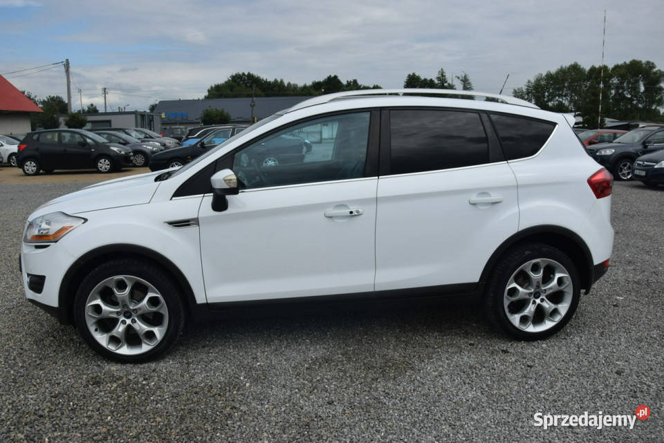 Ford Kuga 20D Navi Kamera Skóra Oryginał Lakier Majdan Sieniawski sprzedam