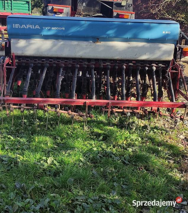 Isaria siewnik zbożowy małopolskie Szczucin