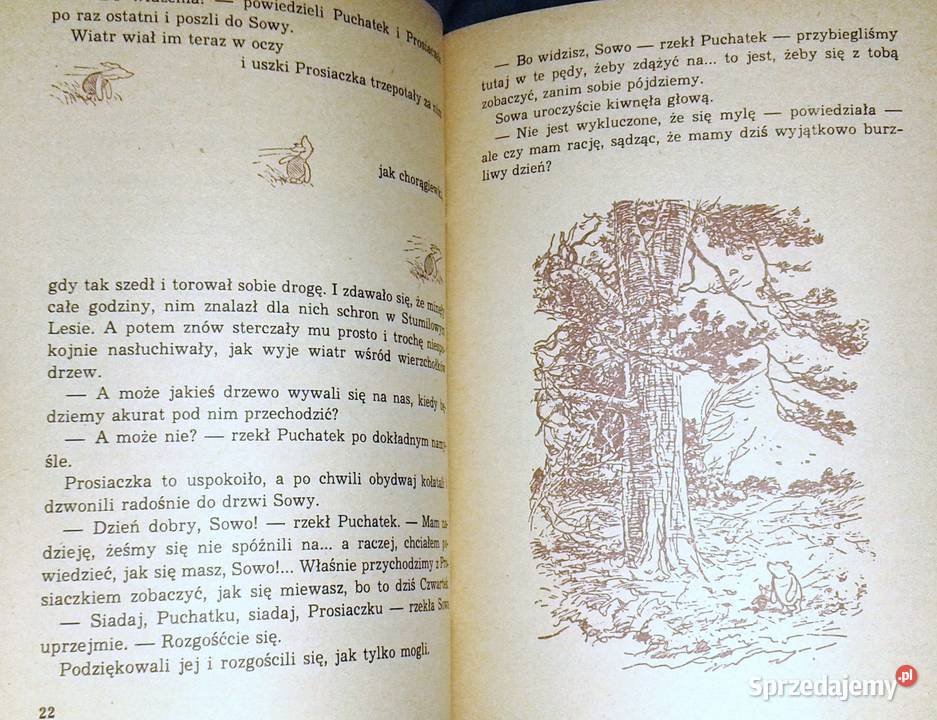 Chatka Puchatka cz 3 Alan Alexander Milne Chełm