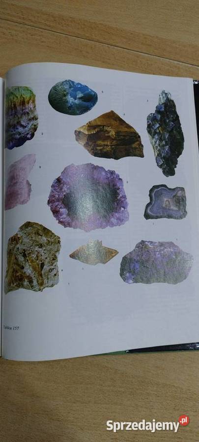 Świat roślin skał i minerałów Lublin