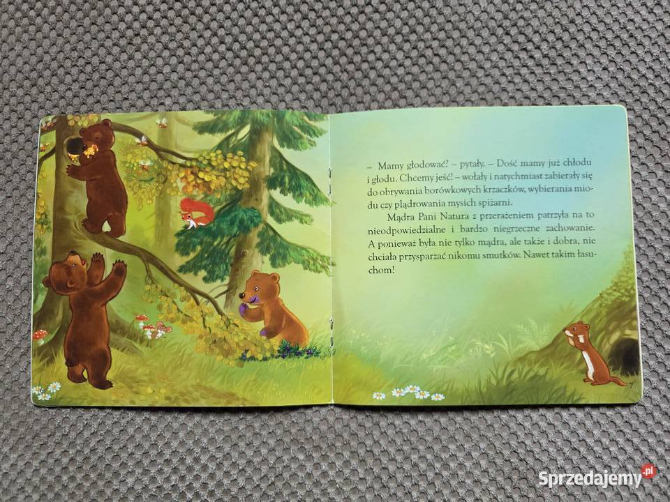 Dlaczego niedźwiedzie zapadają w zimowy sen Kraków